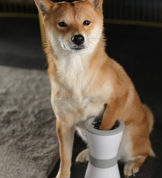 Luxury Electric foot washing cups for pets
